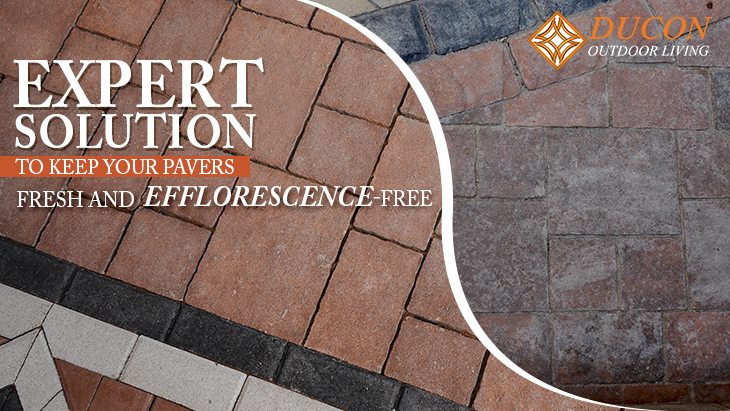 The Best Water Feature Designs for Villas and Landscapes    